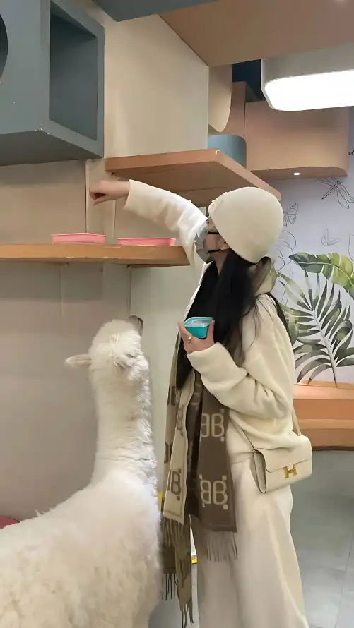 国色天香中文在线观看_亚洲系列一区中文字幕_365娱乐平台网址
